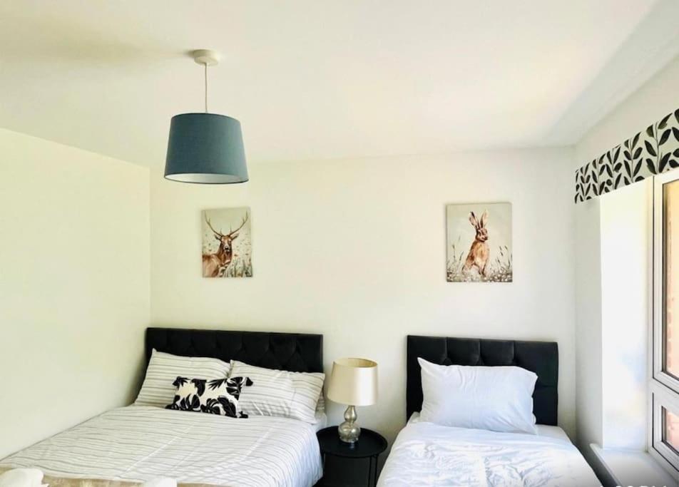 Ashford Retreat - Luxury Home With Double Parking Екстериор снимка